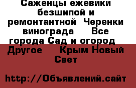 Саженцы ежевики безшипой и ремонтантной. Черенки винограда . - Все города Сад и огород » Другое   . Крым,Новый Свет